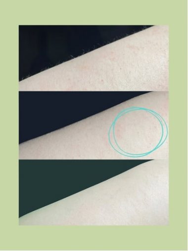 モデル試験（ユーライク調べ）