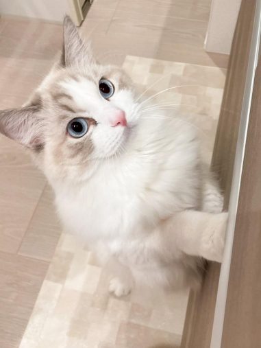 料理中のチェックも忘れない