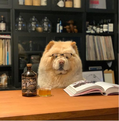 コスプレもおまかせあれ！