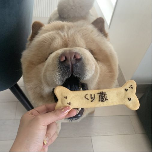 「ほぼ人」みたいな行動とは？