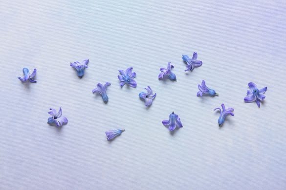 義姉の発言にガッカリ