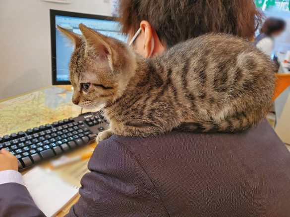 『風の谷のナウシカ風』ショット