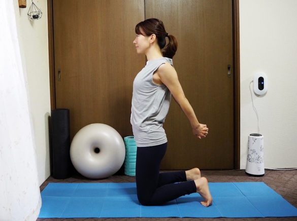 (2)ひじを伸ばしたまま、こぶしを持ち上げる~下ろす【20回】