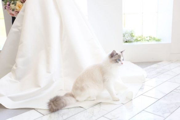 思い出のウェディングフォト