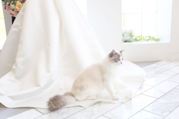 思い出のウェディングフォト