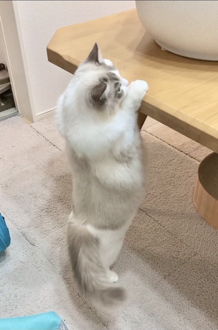 時には猫背も消える