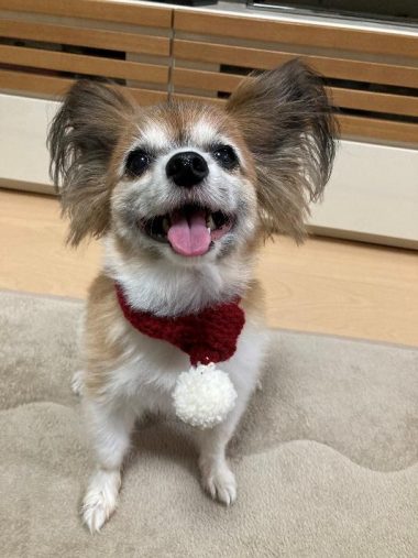 笑顔も戻ったよ！