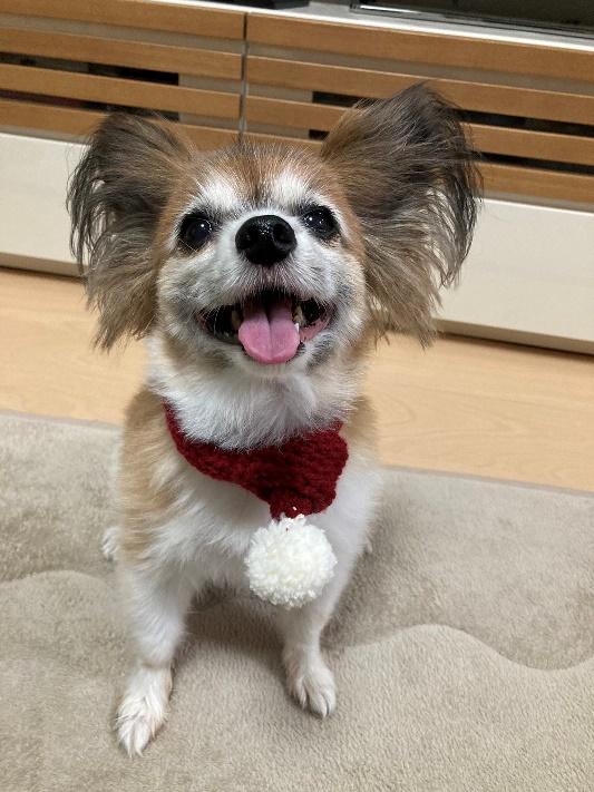 笑顔も戻ったよ！