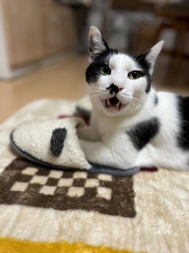 一緒にお風呂場へ行こうよー！