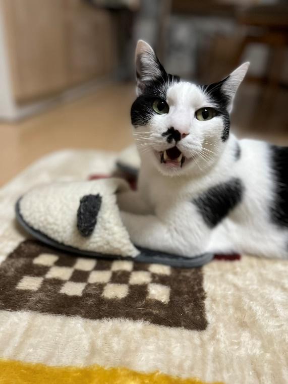 一緒にお風呂場へ行こうよー！