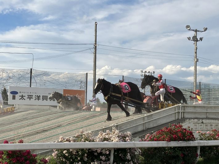 ばんえい競馬（筆者撮影）