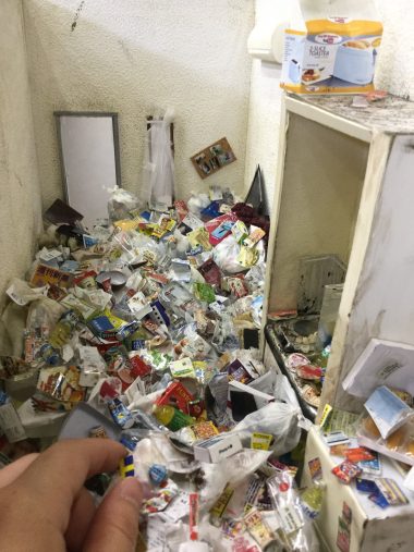 小島美羽さんのミニチュア作品