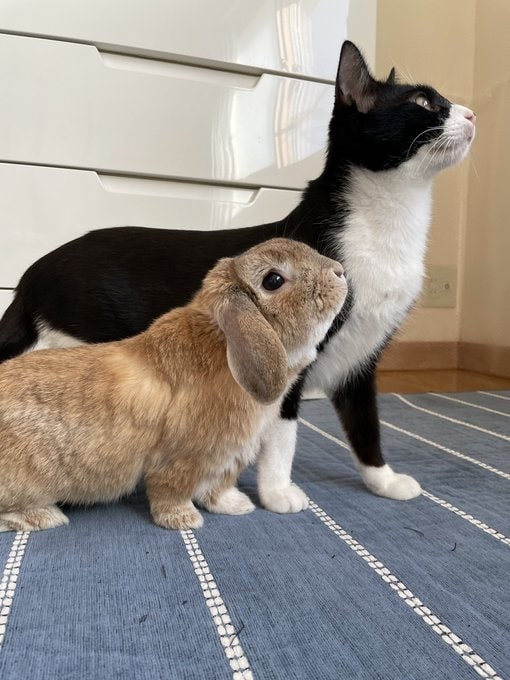 同じ方向を向くふたり