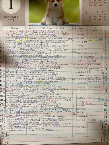 ふぁん太くんの健康管理メモ