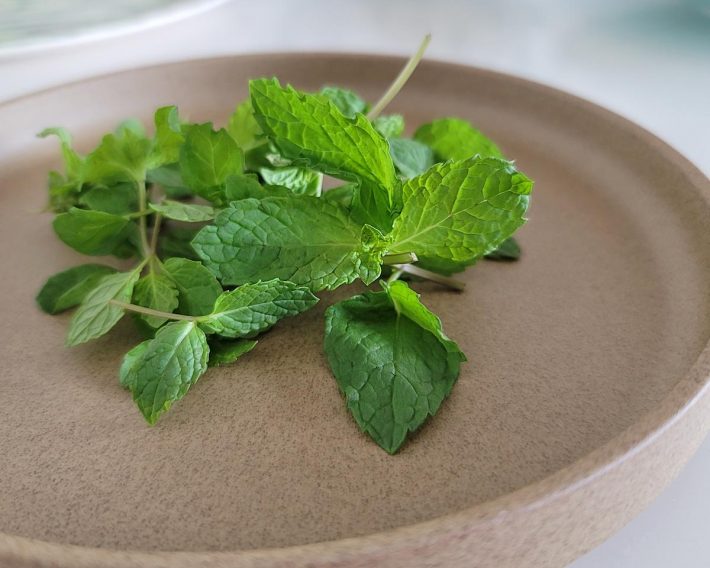 いちいちミントを揃えるのが面倒なときもあります