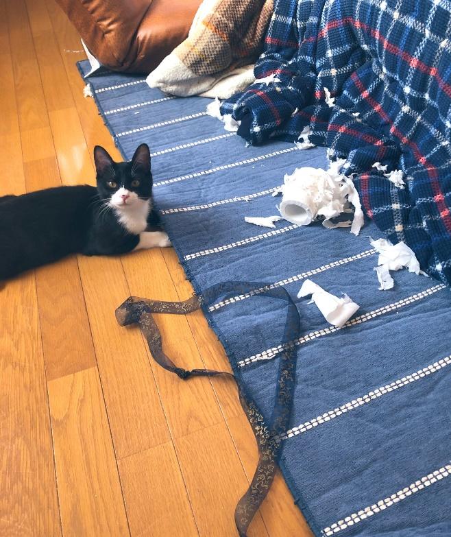 思いっきりイタズラを満喫した時の1枚