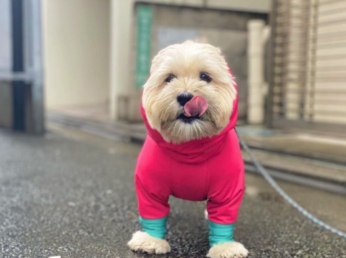 互いに干渉せず伸び伸びと生活中