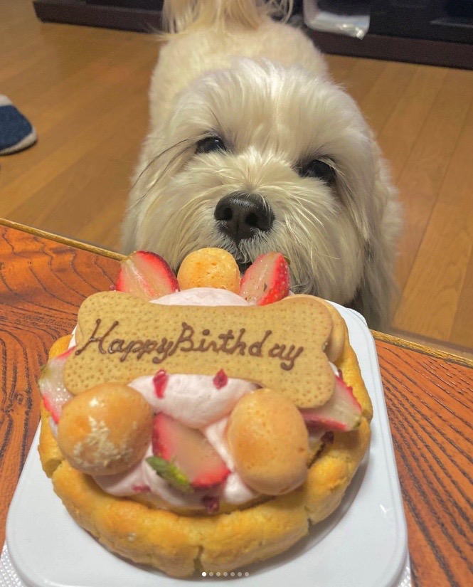 5歳の誕生日の日にはケーキを前にわくわく