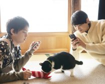 『劇場版 ねこ物件』場面写真