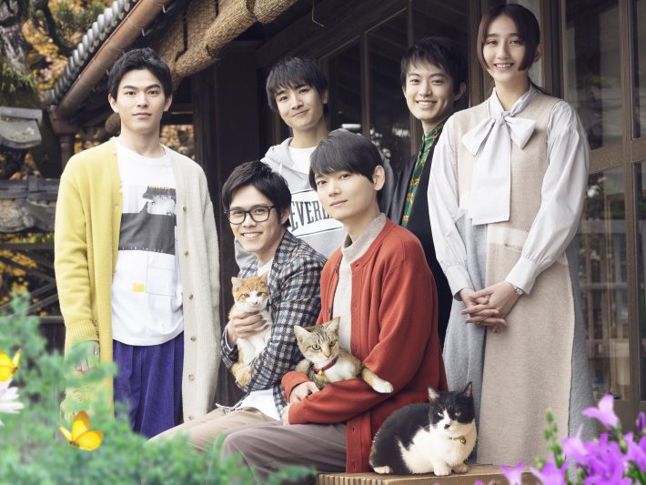 可愛いにゃんことシェアハウスのメンバー両方を見て