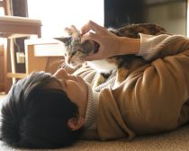 『劇場版 ねこ物件』場面写真