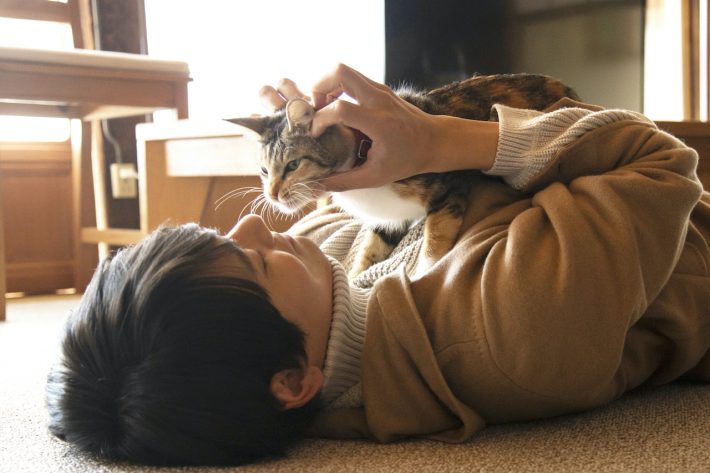 『劇場版 ねこ物件』場面写真