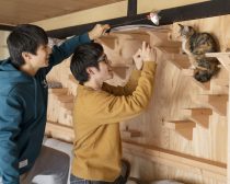 『劇場版 ねこ物件』場面写真