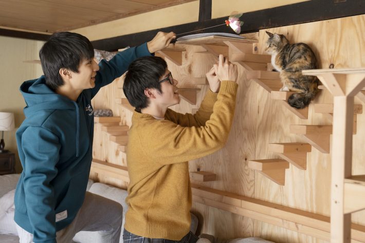 『劇場版 ねこ物件』場面写真