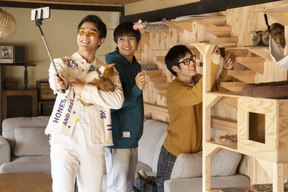 子どもの頃は猫が苦手だった。転機は大学生のとき