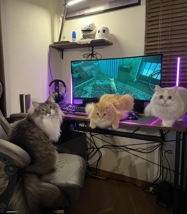 左からレイくん、エマちゃん、ノーマンくん