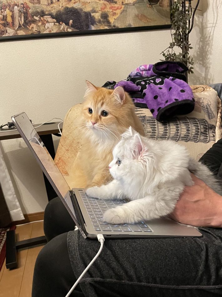 リモートワークの指導中…？