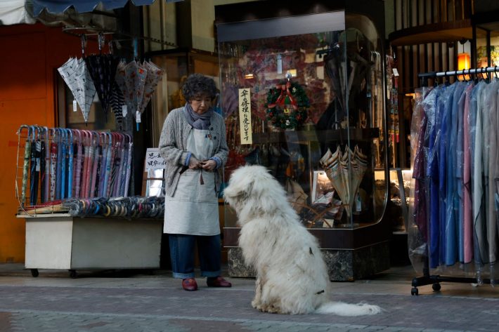 ©︎2022「ハウ」製作委員会