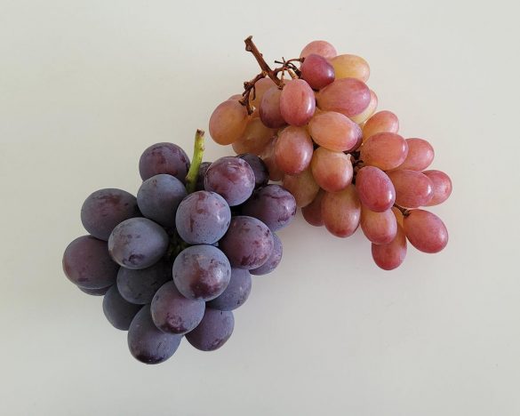 ピオーネ（左）とコトピー（右）