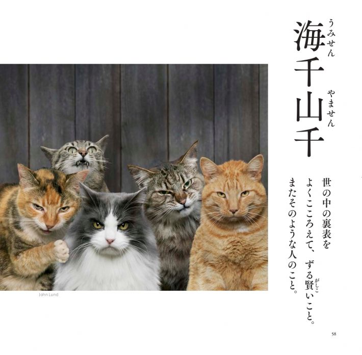 悲しいかな、世知辛いのも現実