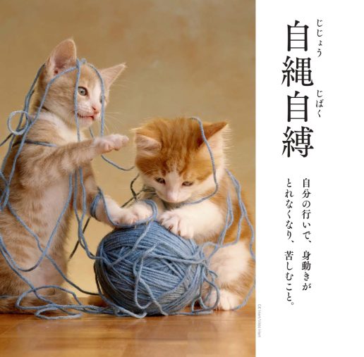 こんなはずじゃなかった、と後悔する前に