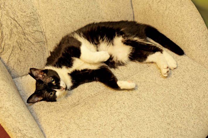 ルポ［新しい家族］の肖像