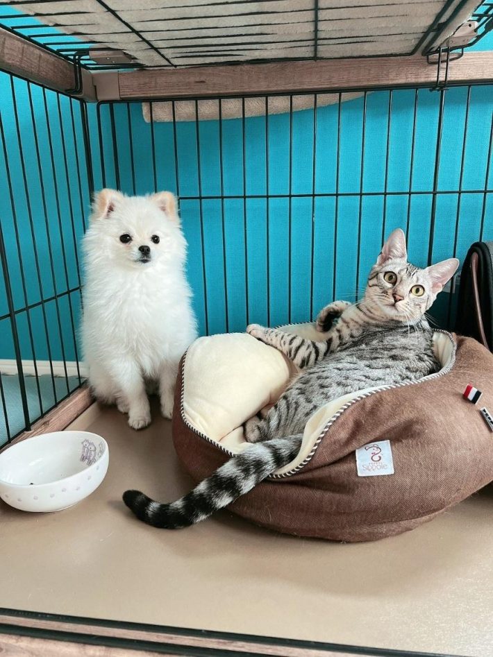 くつろぎの様子