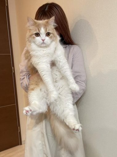 甘えん坊な一面もある