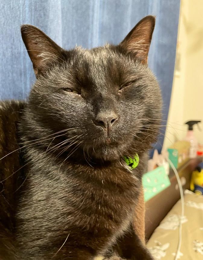 絶妙な表情のもずくくん