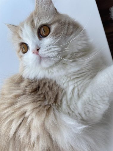 ビビりさんな一面も