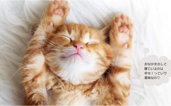 画像は本書(P42)より