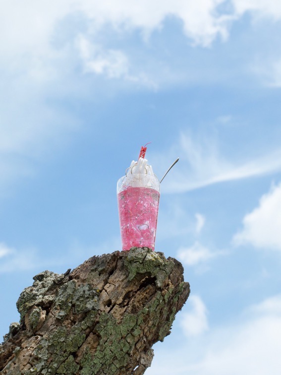 洗濯バサミフォト