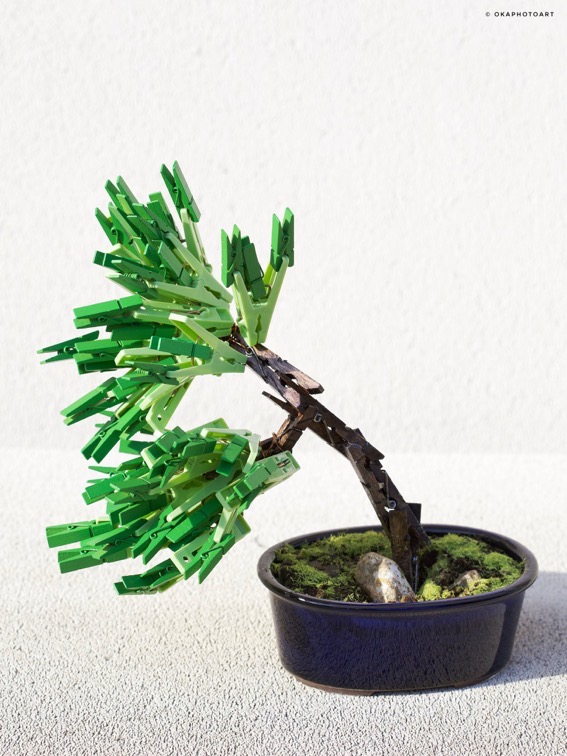 洗濯バサミフォト