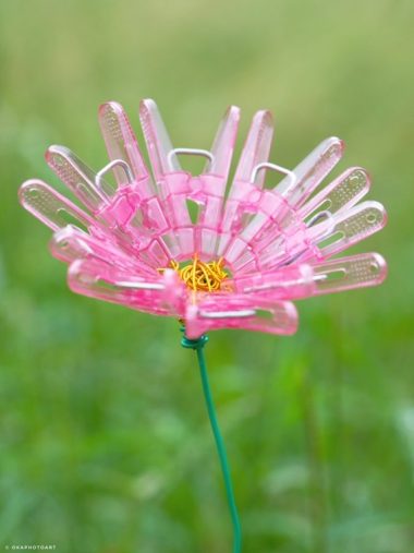 洗濯バサミフォト