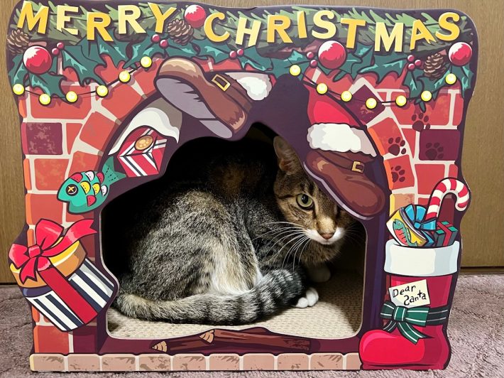 部屋に暖炉が出現！クリスマスデザインの爪とぎが可愛すぎ