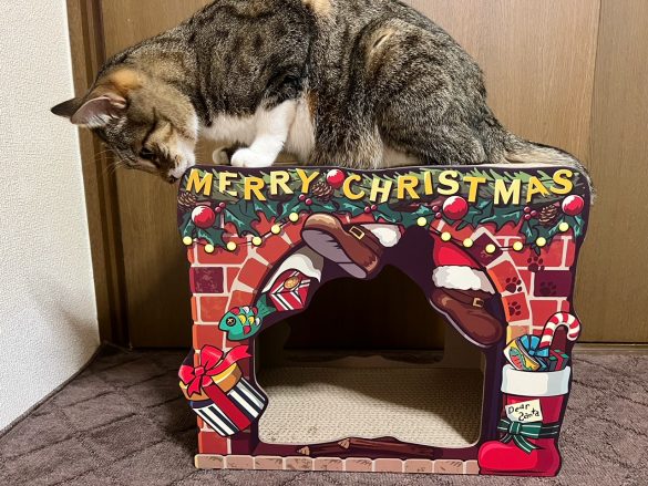 まずは、登頂してチェック