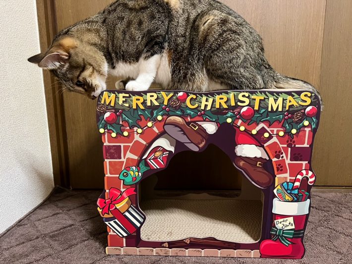 まずは、登頂してチェック