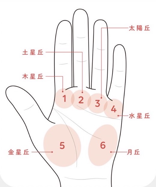 手相の「ふくらみ」をみる