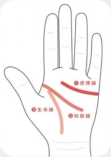 手相の見方は「基本の3線」と「ふくらみ」
