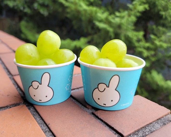 色のトーンが優しくて、なんとも素敵です